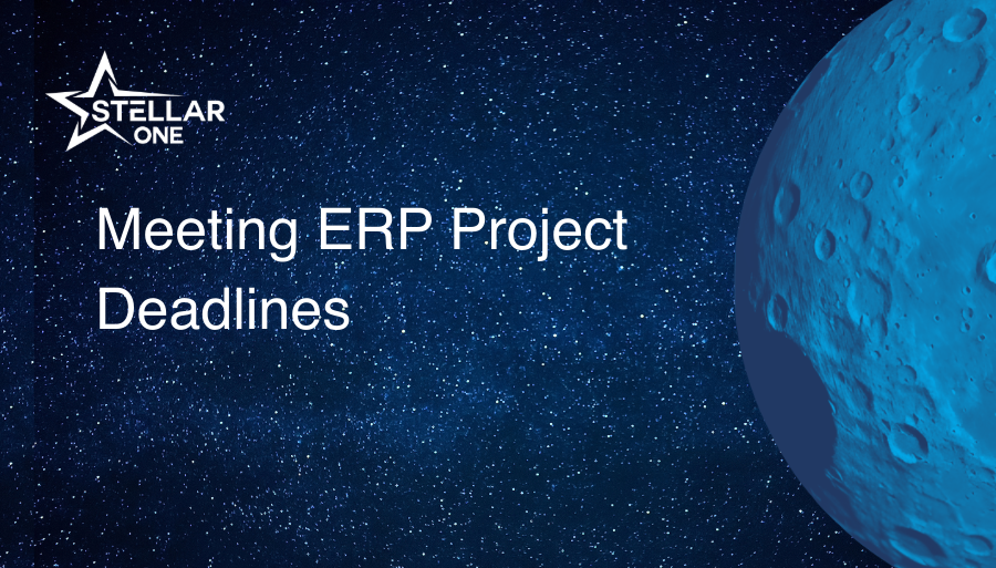 Meeting ERP Project Deadlines