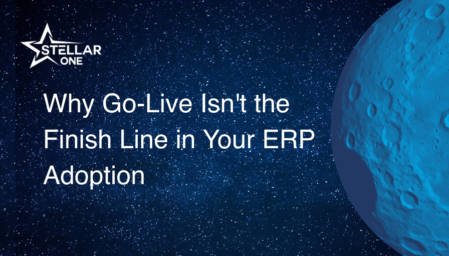 Why Go-Live Isn't the Finish Line in Your ERP Adoption